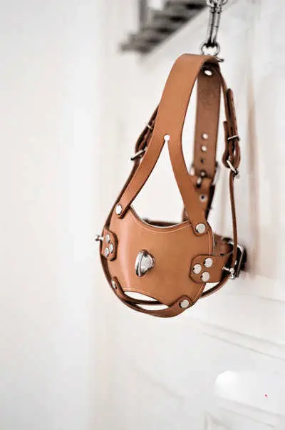 西檬之家管教在字母圈中的角色与意义是什么？ 一