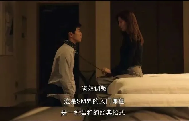 西檬之家探索2025年sm亚文化的秘密与现状 一