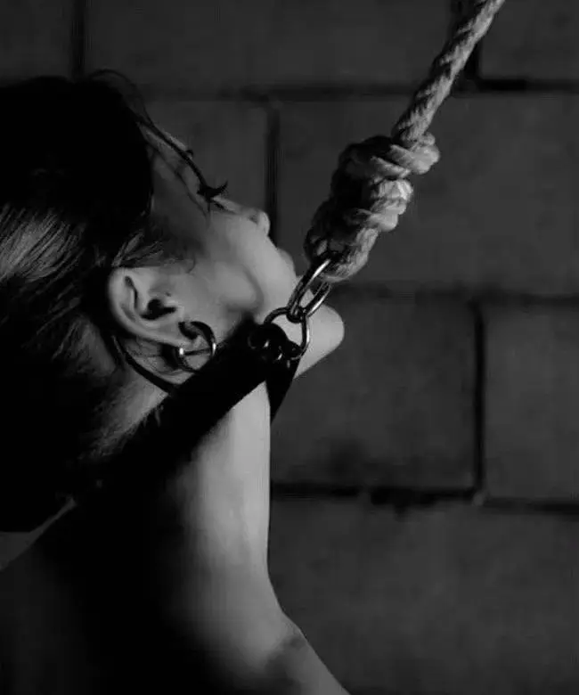 西檬之家tickle在字母圈中的独特魅力与实践探索 一